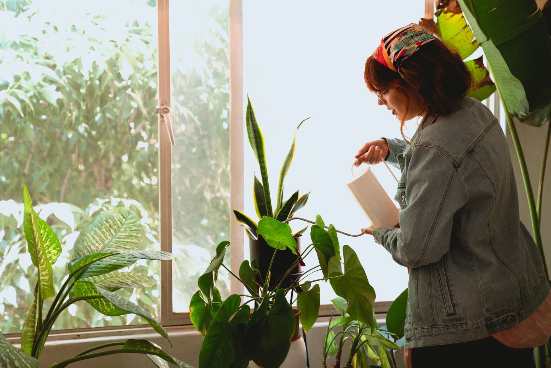 Woman tending to lush green plants inside a bright apartment with large windows overlooking Porto